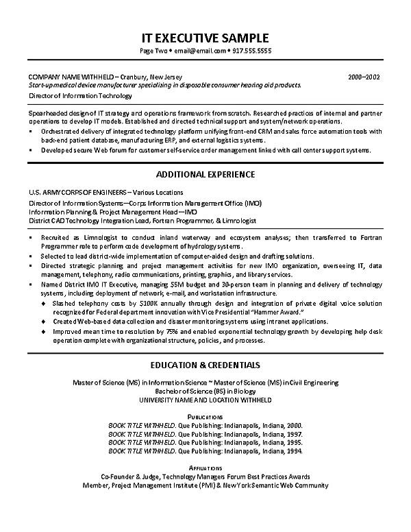 Resume Examples It Manager  