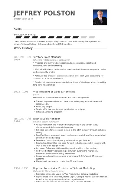 Resume Examples Sales Manager  