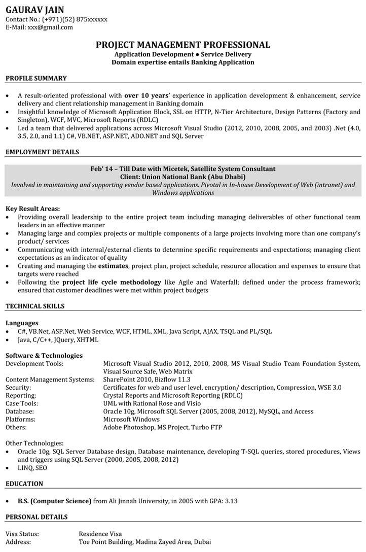 Resume Examples Software Engineer  
