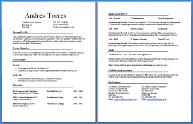 Professional 2 Page Resume Examples 