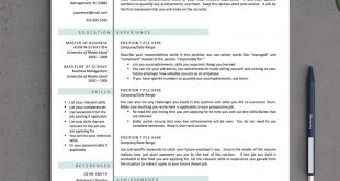 Resume Templates On Pages 