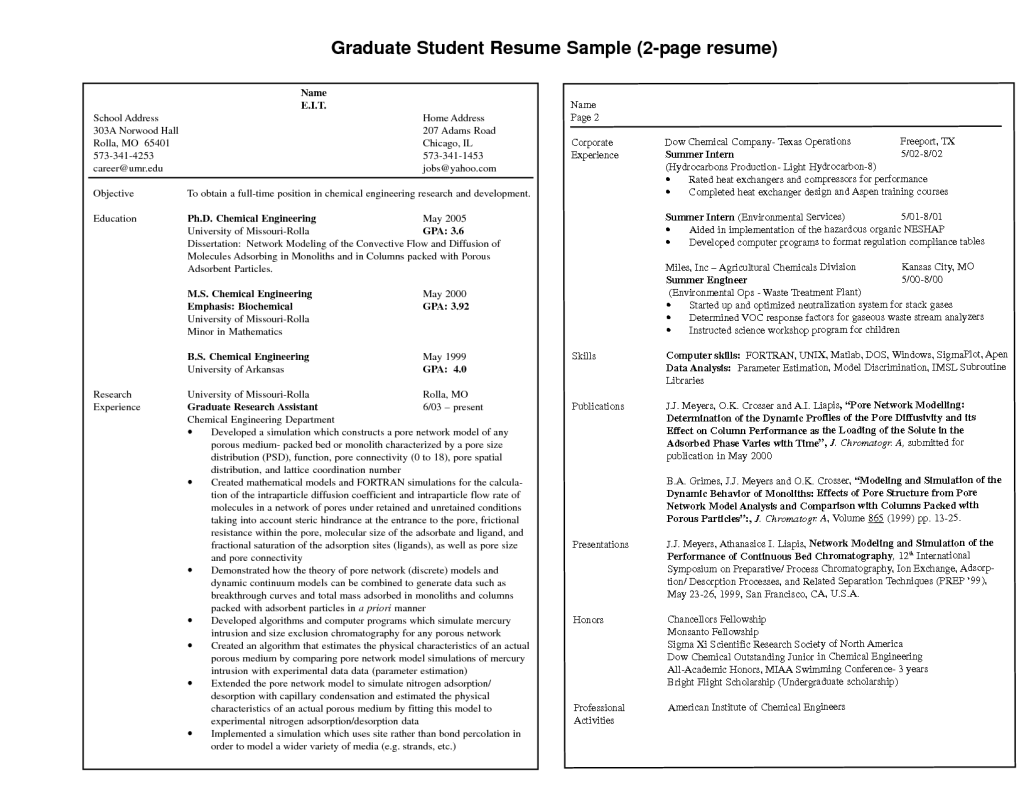 Professional 2 Page Resume Examples 