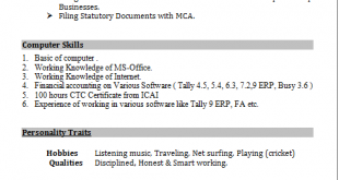 Resume Format For Tally Erp 9 