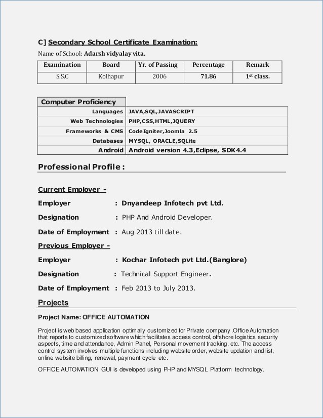 Resume Format 5 Years Experience 