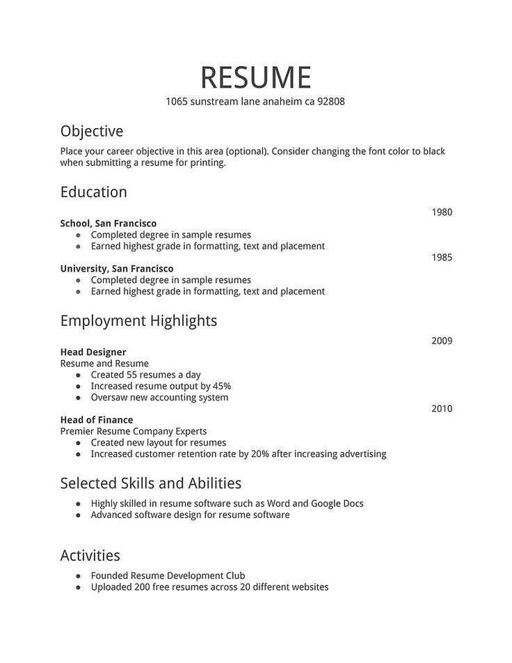Resume Examples Basic 