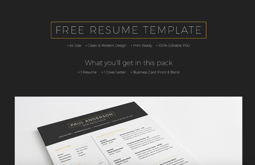 Free Resume Templates Keynote 
