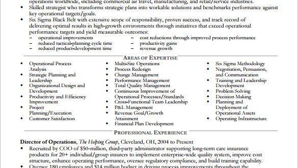 Resume Templates Executive 