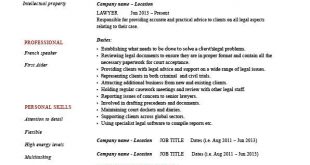 Resume Format Lawyer 