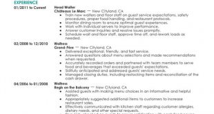 Resume Examples For Servers 
