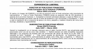Resume Examples In Spanish 
