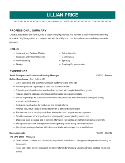 Toys R Us Resume Examples 