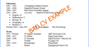 Resume Examples Good And Bad 