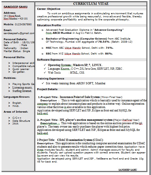 1 Page Resume Format For Freshers 