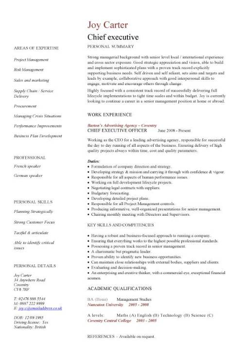 Resume Format Executive 
