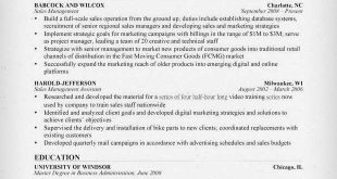 Resume Examples Sales Manager 