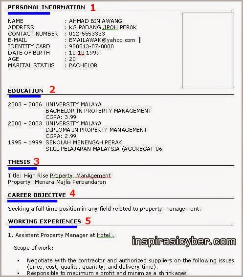 Resume Format Kerajaan 