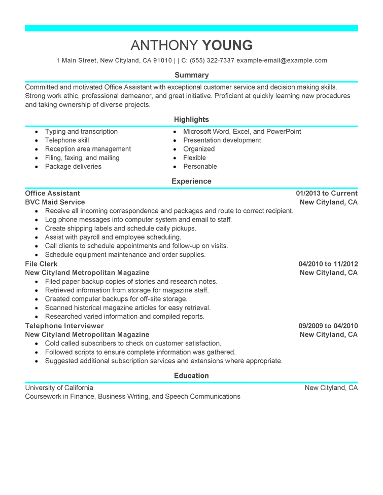 Resume Examples Professional 