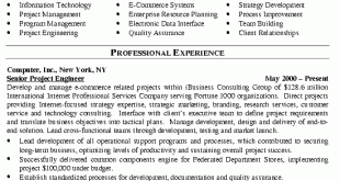 Resume Examples It Manager 
