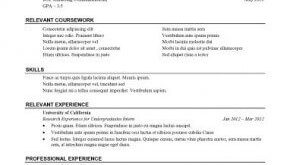 Resume Format For Internship 