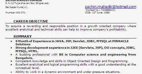 Resume Format 6 Months Experience 