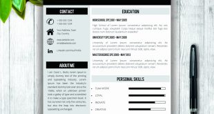 Resume Templates To Buy 