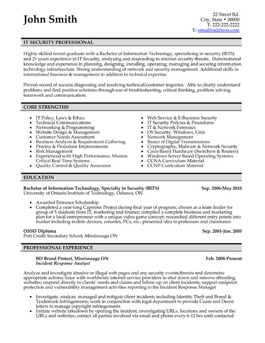Resume Examples Professional 