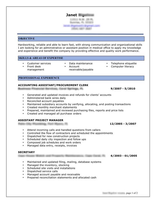 Resume Format Professional 