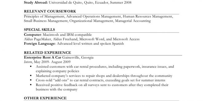 Resume Examples Job Experience 