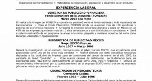 Resume Templates In Spanish 