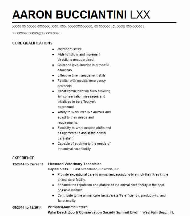 Resume Format Zookeeper 