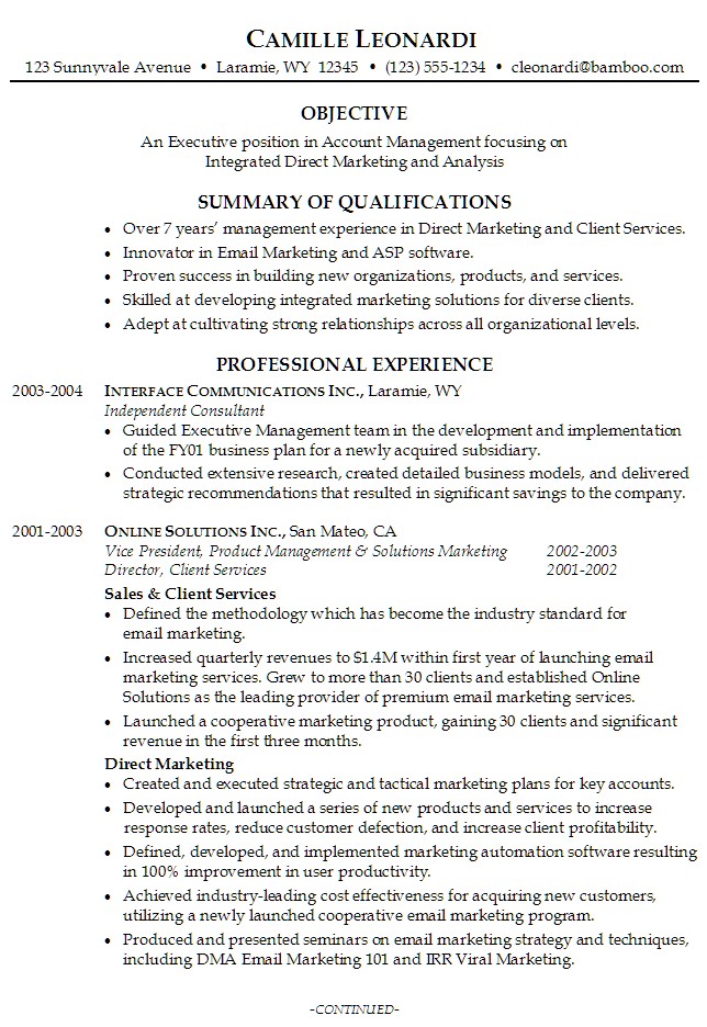 Resume Examples Summary 