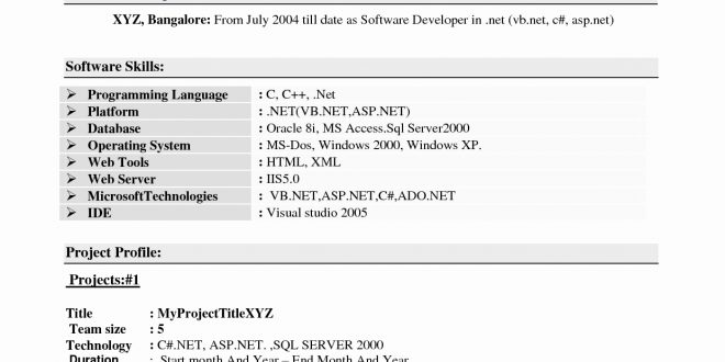 Experience Resume Format For Xml Developer 