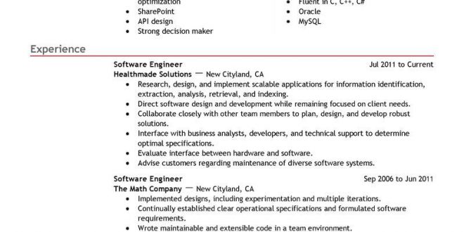 Resume Templates Software Developer 