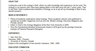Zoology Resume Examples 