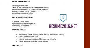 Resume Templates Latest 