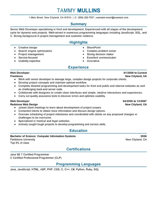 Ecommerce Developer Resume Format 