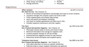 Resume Examples Varied Experience 