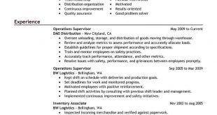 Resume Examples For Managers 