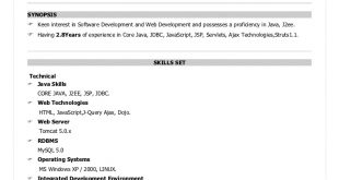 0-1 Year Experience Resume Format 