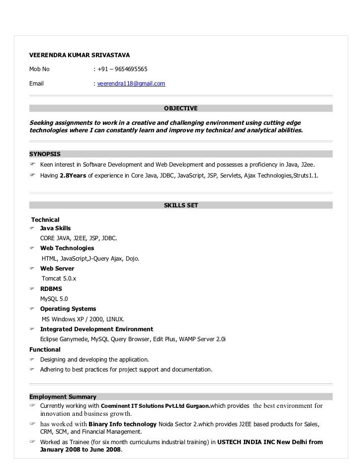 Resume Format For 7 Months Experience 