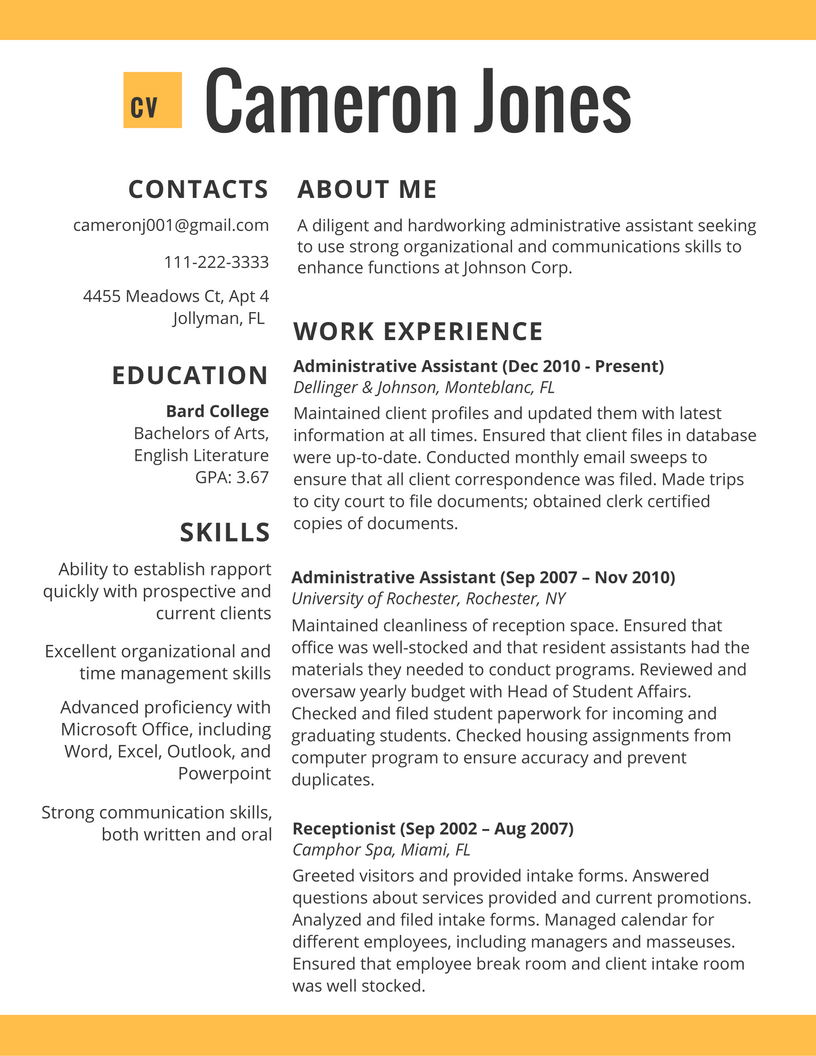 Resume Format 2017 Examples 