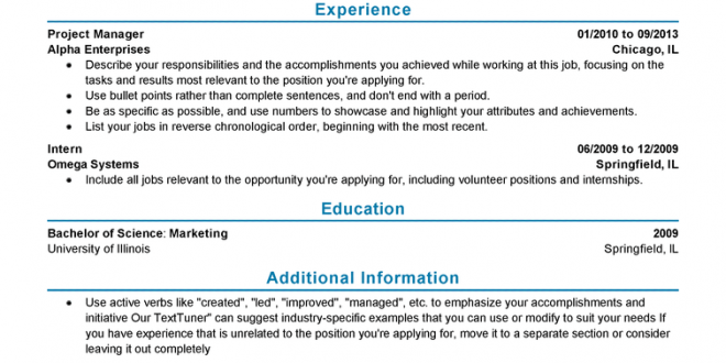 Resume Format Experience 