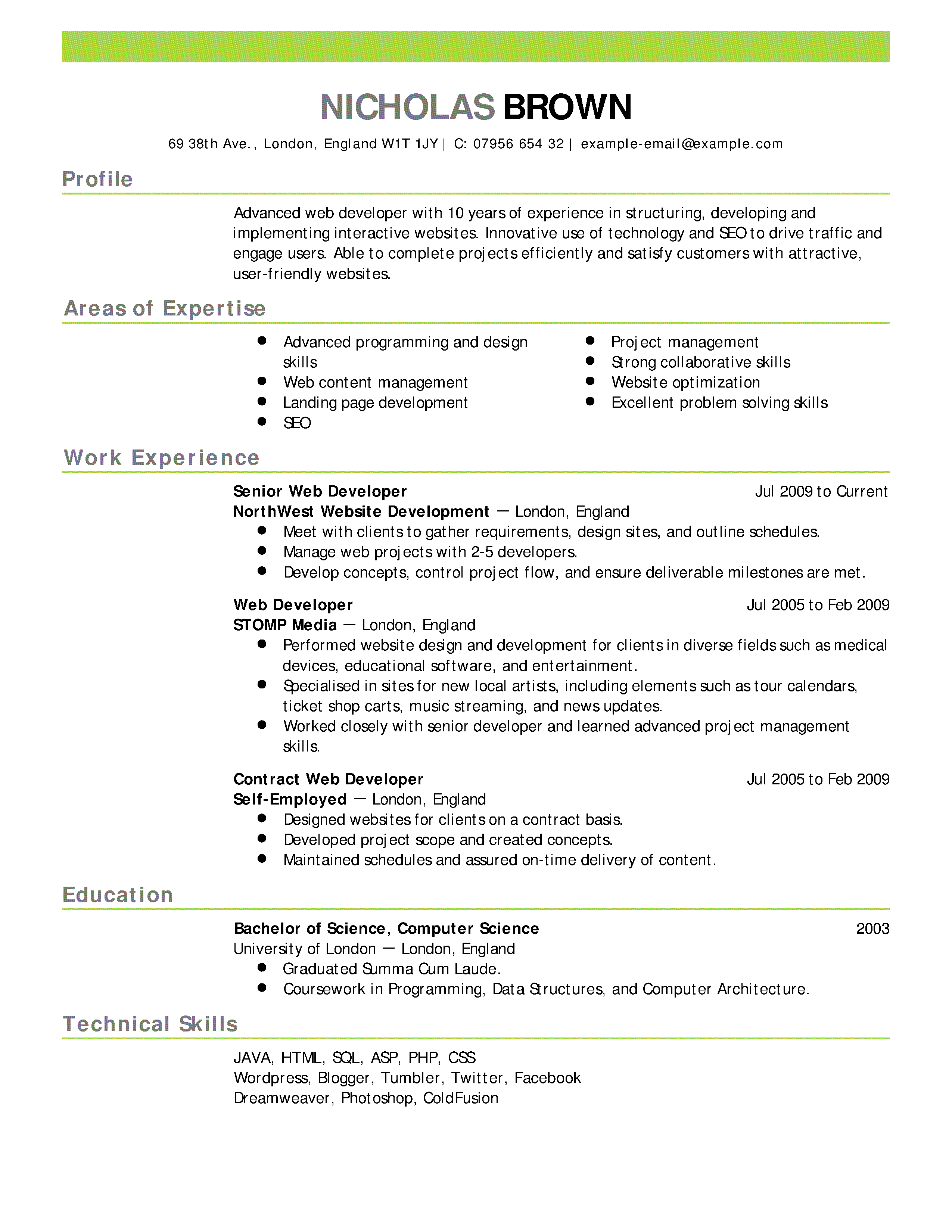Resume Format Ideas 