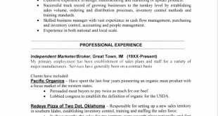 Resume Examples Layout 