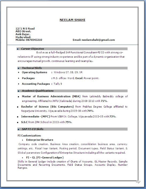 Resume Format 20 Years Experience 